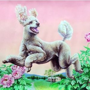 Meet your Posher, Orien